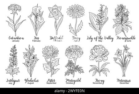 Set of birth month flowers line art vector. Stock Vector