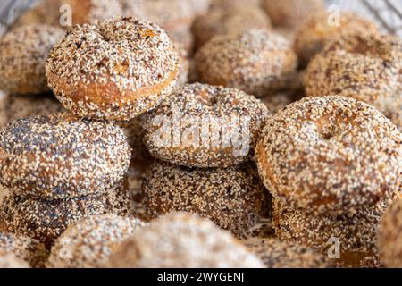 Everything Bagels Stock Photo