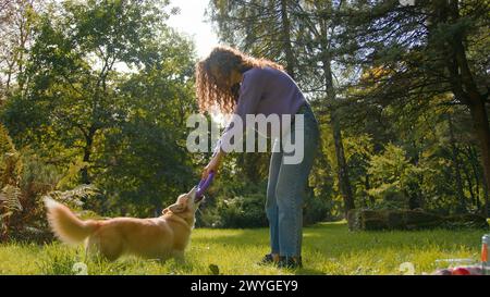 Young woman pet owner playing with golden puppy in city park Caucasian girl animal trainer exercising little playful dog outdoors green lawn female Stock Photo