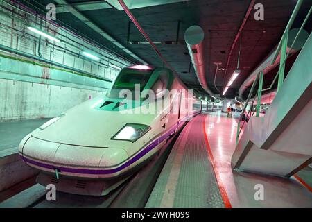 High speed train. Sans station. Barcelona. Catalonia. Spain. Stock Photo