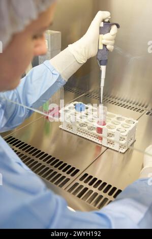 Taking samples from a T75 flask in biological safety cabinet. Laboratory, Fundación Inbiomed, Genetrix Group. Center for research in stem cells and regenerative medicine. Donostia, San Sebastian, Euskadi. Spain. Stock Photo
