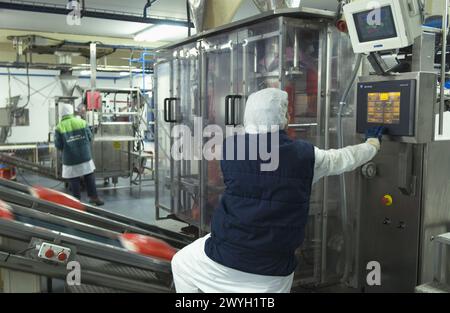 Frozen food industry, packing line. Navarre. Spain. Stock Photo