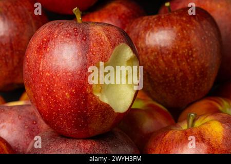An apple with a bite taken out of it set amongst other apples. Stock Photo