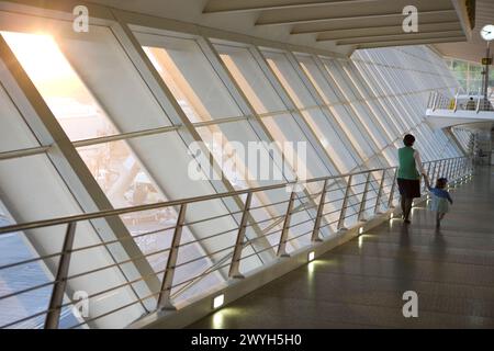 Bilbao Airport (new Terminal By Santiago Calatrava), Loiu, Biscay 