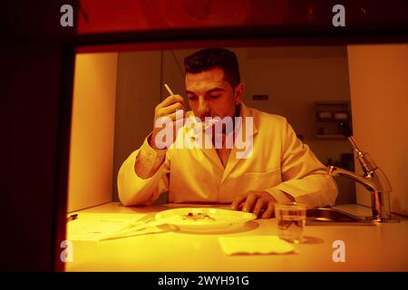 Sensory Laboratory, food analysis, Azti-Tecnalia, Marine and Food Research Technological Centre, Derio, Biscay, Basque Country, Spain. Stock Photo