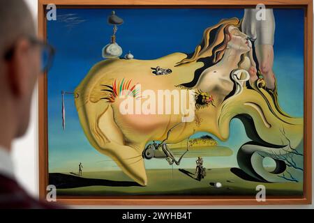 SALVADOR DALI、VIERGE EN GLOIRE、海外版超希少レゾネ face-of-the-great-masturbator-