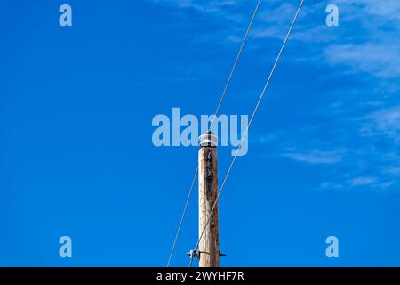 A utility pole that supports two cables with a clear blue sky Stock Photo