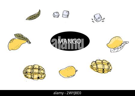 Set of Hand drawn Mango fruit and slices with ice in sketch art colored. Vector illustration of tropical fruit for healthy - mango. Ink paint art in v Stock Vector