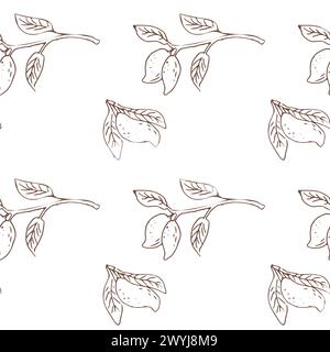 Seamless pattern with mango, tropical fruit background. Vector illustration can used for wrapping paper, backdrop, poster, wallpaper. Mango outline sk Stock Vector