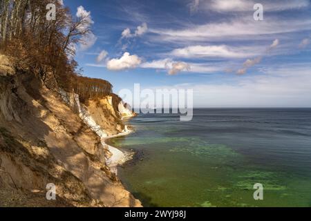 Die berühmten Kreidefelsen an der Ostseeküste im Nationalpark Jasmund, Insel Ruegen, Mecklenburg-Vorpommern, Deutschland  | The famous chalk cliffs on Stock Photo