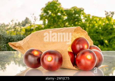 Several ripe black cherry tomatoes with a paper bag, macro, on a background of vegetables. Stock Photo