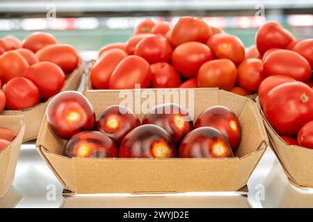 Several ripe black cherry tomatoes in a paper plate, macro, on a market shelf. Stock Photo
