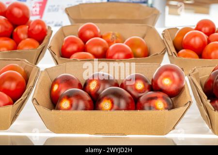 Several ripe black cherry tomatoes in a paper plate, macro, on a market shelf. Stock Photo