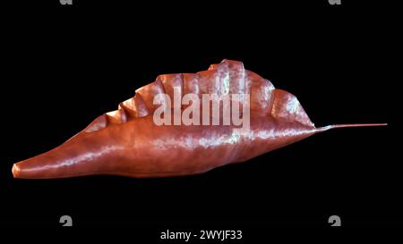 3d rendering protozoans of the genus Trypanosoma, it causes Human African trypanosomiasis, also known as sleeping sickness Stock Photo