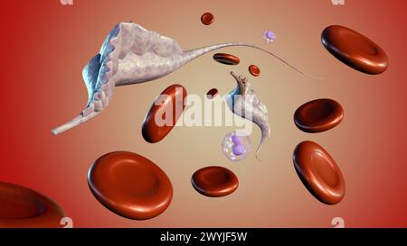 3d rendering protozoans of the genus Trypanosoma, it causes Human African trypanosomiasis, also known as sleeping sickness Stock Photo