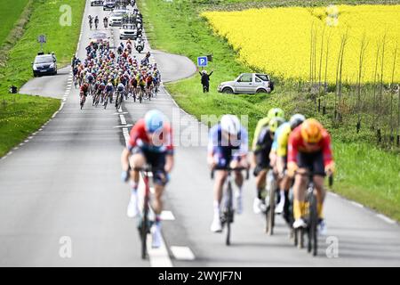 Roubaix, France. 07th Apr, 2024. Illustration picture taken of the peloton during the men's elite race of the 'Paris-Roubaix' cycling event, 260,0km from Compiegne to Roubaix, France on Sunday 09 April 2023. BELGA PHOTO JASPER JACOBS Credit: Belga News Agency/Alamy Live News Stock Photo