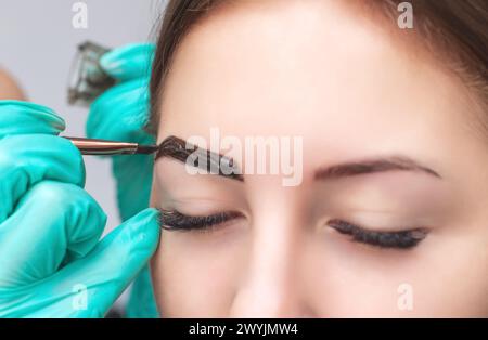 makeup artist applies paint henna on eyebrows in a beauty salon. Professional care for face. Stock Photo