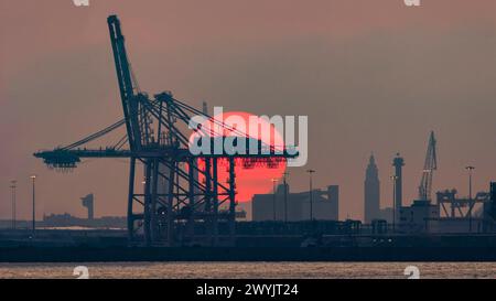 France, Calvados (14), Honfleur, panoramic view of the bay of Seine in the setting sun and port of Le Havre, named HAROPA PORT, silhouette of the port control tower on the left and silhouette of the bell tower of the Saint-Joseph church to the right Stock Photo