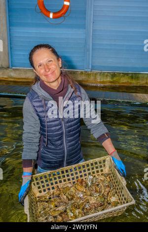 France, Charente Maritime, Chatelaillon, Florence Gaté, oyster farmer Stock Photo