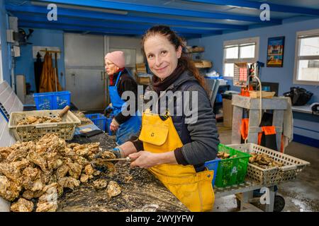 France, Charente Maritime, Chatelaillon, Florence Gaté, oyster farmer Stock Photo