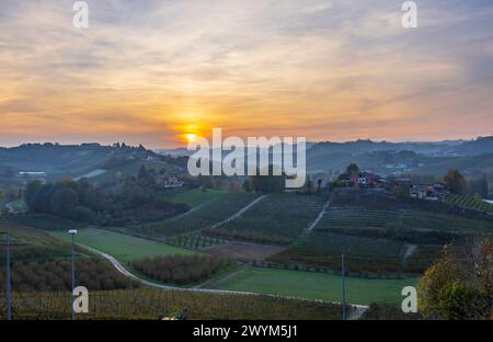 Typical vineyard near Canale, Barolo wine region, province of Cuneo, region of Piedmont, Italy Stock Photo