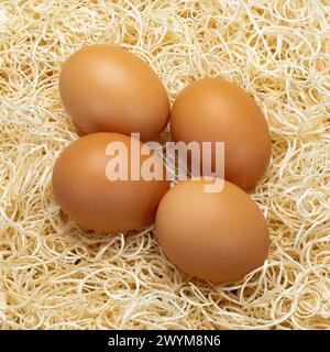 Close up image of four eggs on a bed of straw Stock Photo