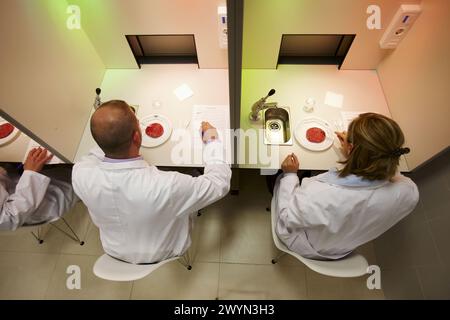 Sensory Laboratory, food analysis, Azti-Tecnalia, Marine and Food Research Technological Centre, Derio, Biscay, Basque Country, Spain. Stock Photo