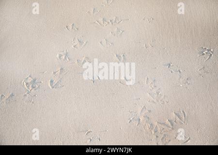 Beautiful Wavy Sand texture beach for background, Top view. for summer designs, copy past. Nature background concept Stock Photo