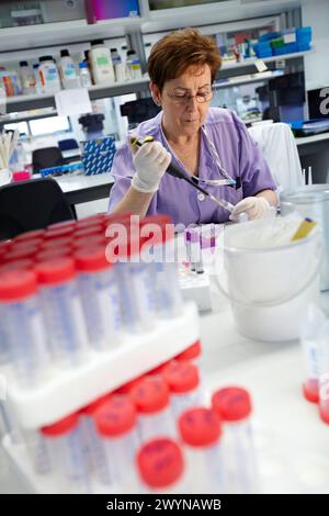 Laboratory technician using micropipette, Neuroscience lab, Research in neuromuscular disorders, neurodegenerative diseases, parkinson, dementia and multiple sclerosis, Biodonostia Health and Biomedicine Research Institute, San Sebastian, Donostia, Gipuzkoa, Euskadi, Spain. Stock Photo