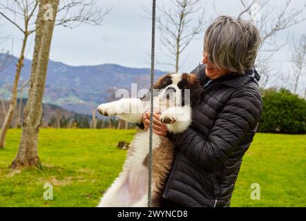 woman with Saint Bernard dog. Gipuzkoa. Basque Country. Spain. Stock Photo