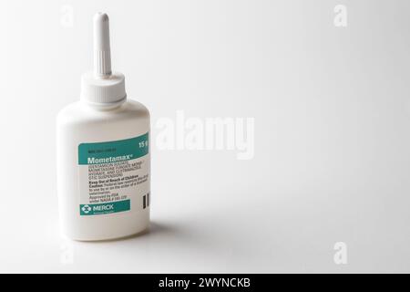 Mometamax prescription treatment of otitis externa in dogs for yeast  and bacteria problems. Photograph Stock Photo