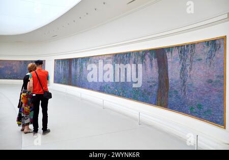 Water-lilies Nympheas series painted by Claude Monet, Musee de L'Orangerie Museum, Tuileries, Paris, France. Stock Photo