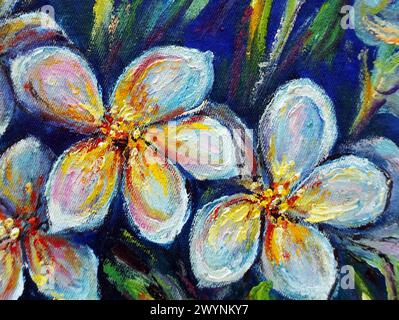 Original oil painting frangipani flower and Plumeria Stock Photo