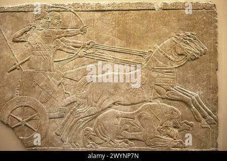 Stone panel from the Palace of Ashurnasirpal II, Nimrud Palace Reliefs, The British Museum, London. England. UK. Stock Photo