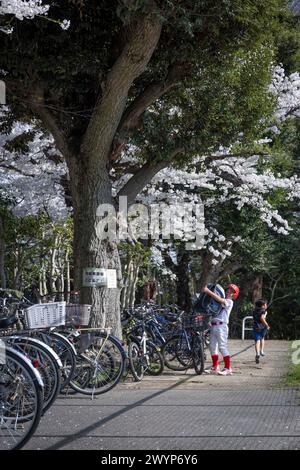 Tokyo, Japan. 07th Apr, 2024. Young baseball player arrived at a playground near Tama river. (Photo by Stanislav Kogiku/SOPA Images/Sipa USA) Credit: Sipa USA/Alamy Live News Stock Photo