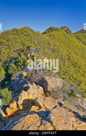 Cathedral Peak and Montagu Thumbs hiking and climbing dolerite rock features along a ridge line on kunanyi Mount Wellington, Hobart, Tasmania Stock Photo