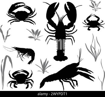Silhouettes of four species of crustaceans: crayfish, lobster, crab and shrimp Stock Vector