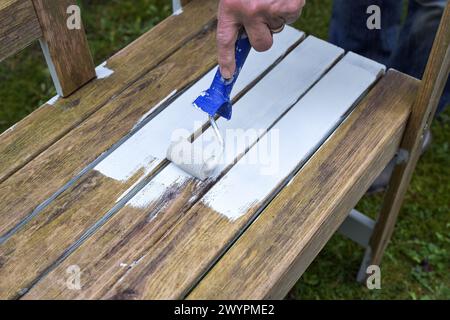 Painting a weathered wooden garden bench with a white diffusion-open weather protection coat using a paint roller, preparation for the outdoor season, Stock Photo