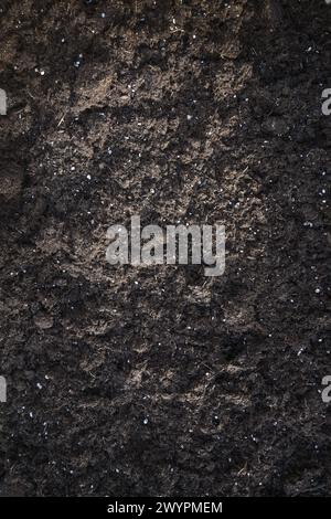 Dark brown plant soil, background texture, full frame, gardening and ecology concept, copy space Stock Photo