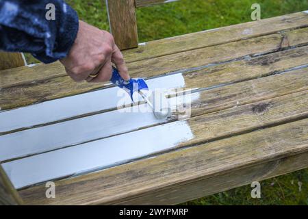 Man is painting a weathered wooden outdoor bench with a white weather protection paint using a lacquer roller, refreshing old outdoor furniture for th Stock Photo