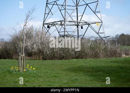 A pylon in Hillfield Park, Monkspath, Solihull, West Midlands, England, UK Stock Photo