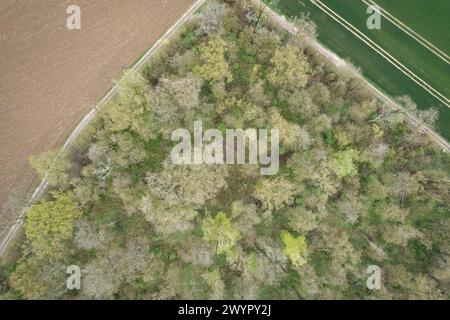 Esmoulins, France. 27th Mar, 2024. View of the woods near Esmoulins where Alexia Fouillot Daval was found dead after she was murdered by her husband Jonathann Daval in 2017. Atmosphere 7 years after the murder of Alexia Daval, prior a new trial against Jonathann Daval for defamation initiated by the parents of Alexia, Jean-Pierre and Isabelle Fouillot. March 27, 2024. Photo by Raphael Lafargue/ABACAPRESS.COM Credit: Abaca Press/Alamy Live News Stock Photo