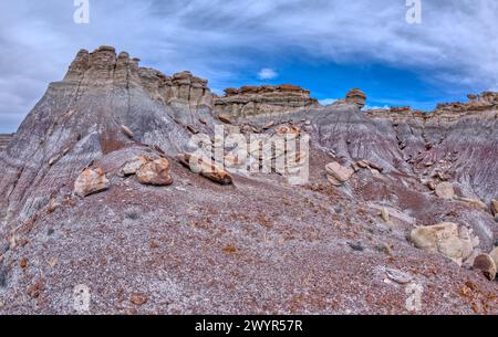 Goblin Ridge at Petrified Forest AZ Stock Photo - Alamy