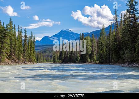 Athabasca river landscape during rafting excursion, Jasper national Park, Canada. Stock Photo