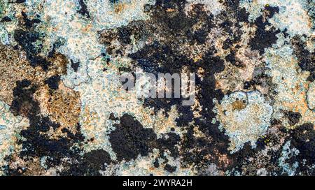 Old Wall Surface Abstract Textured Background Design Stock Photo