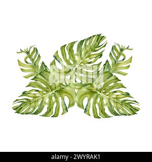 Banana and lemon tree tropical leaves composition with monstera and palm branches. Watercolor illustration isolated on white background. Exotic leaf Stock Photo