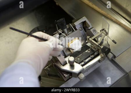 Staff working with the cryotome, special equipment for cutting tissues. Laboratory, Fundación Inbiomed, Genetrix Group. Center for research in stem cells and regenerative medicine. Donostia, San Sebastian, Euskadi. Spain. Stock Photo