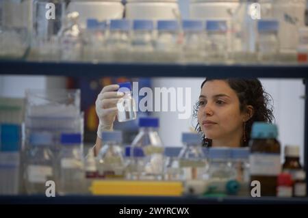 Researcher working in laboratory, Fundación Inbiomed, Genetrix Group. Center for research in stem cells and regenerative medicine. Donostia, San Sebastian, Euskadi. Spain. Stock Photo