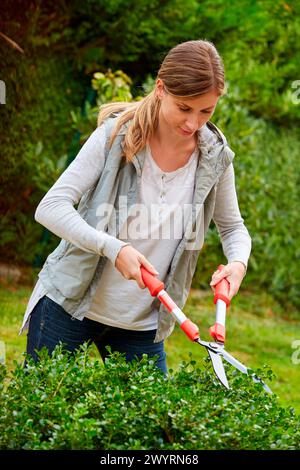 Woman with pruning shears cutting the hedge. Garden. Stock Photo