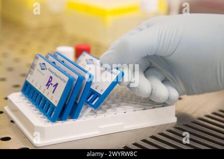 Prionics-Check PrioSTRIP test for detection and isolation of the prion protein, Laboratory of Bacteriology, Departamento de Producción y Sanidad Animal, Neiker Tecnalia, Derio, Bizkaia, Euskadi, Spain. Stock Photo